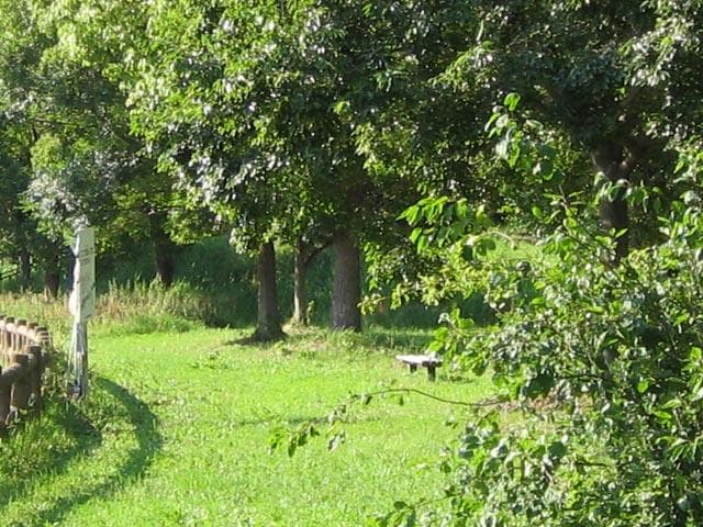 【動作確認済】Canon IXY DIGITAL L2 PC1108 スマホ転送