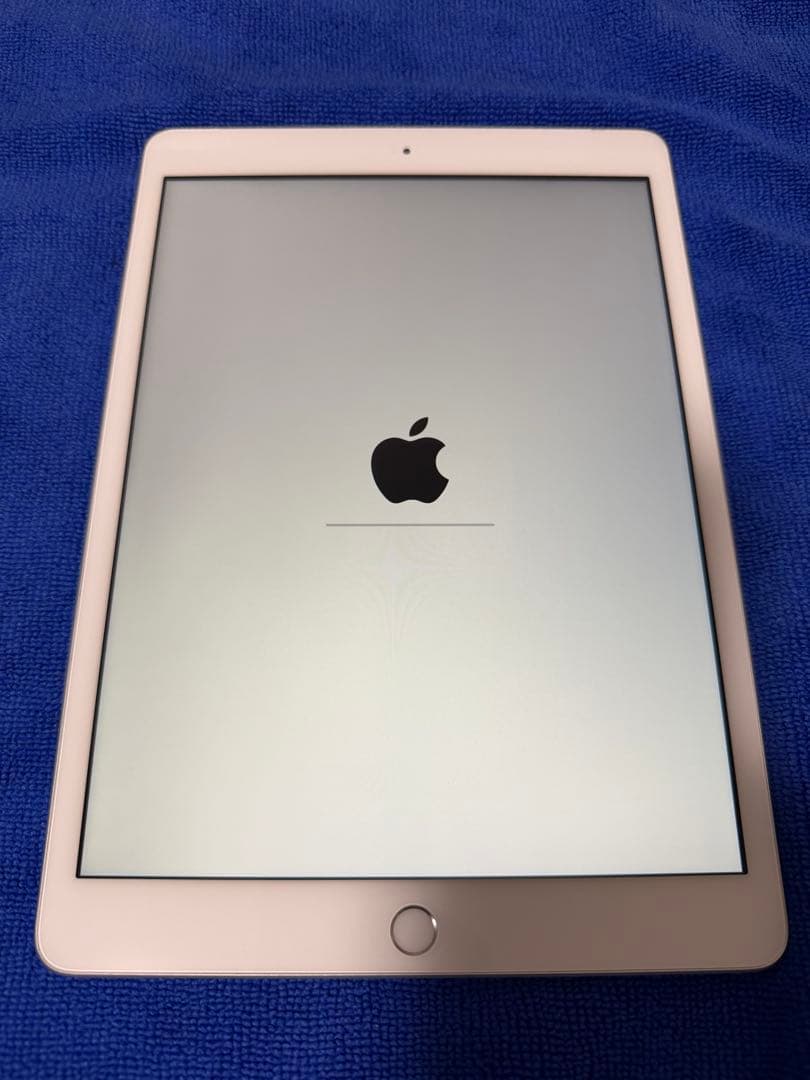 iPad (第8世代) Wi-Fi+Cellular SIMフリー 【ジャンク】