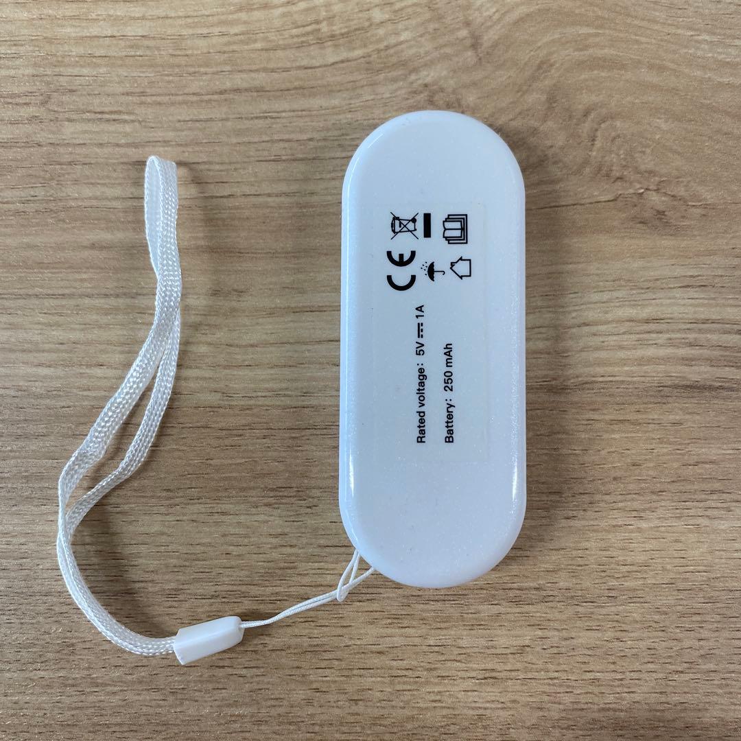 PLEASING SAN マスク式美顔器Beauty Facial Veil