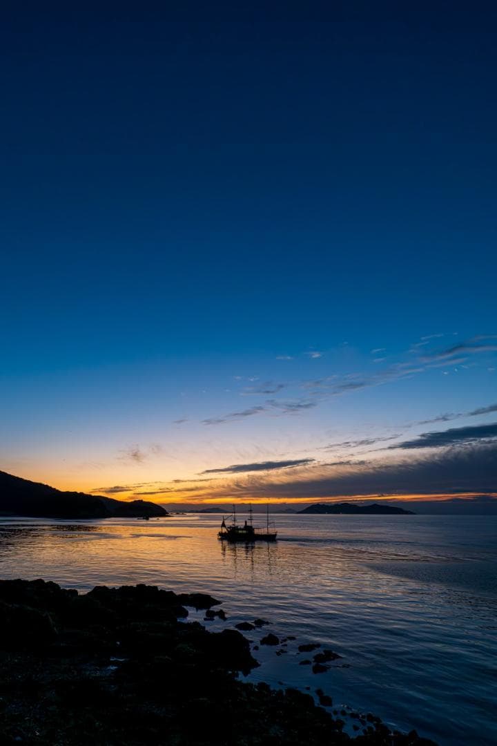 レンズ(ズーム) AF-S NIKKOR 14-24mm f/2.8G ED