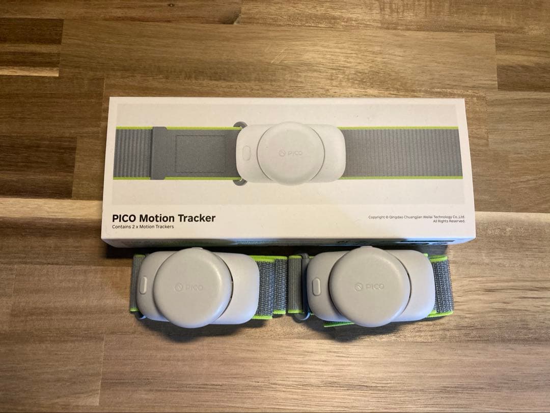 その他 Pico motion tracker