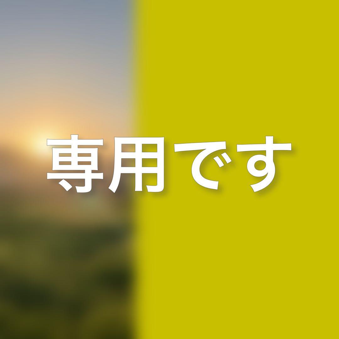らら 井波彫刻 伝統工芸士 野中願児作 ねこ