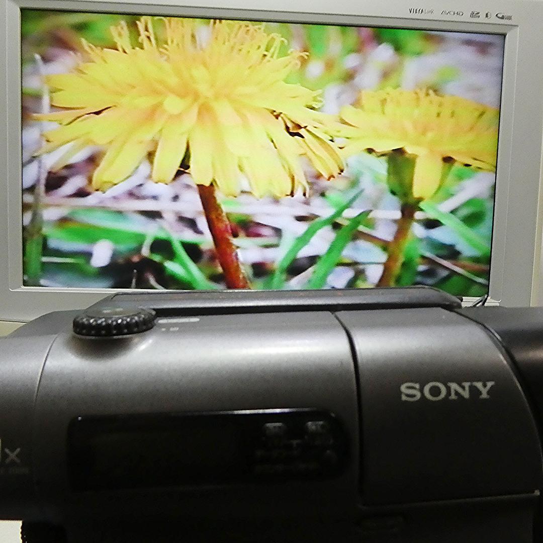 動作良好 ソニーVideoHi8 CCD-TR3 8ミリビデオ　DVD化に最適