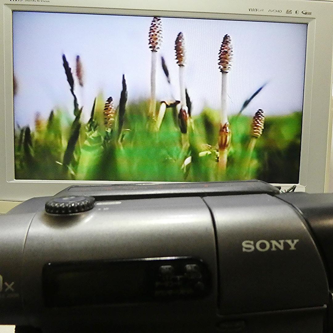 動作良好 ソニーVideoHi8 CCD-TR3 8ミリビデオ　DVD化に最適