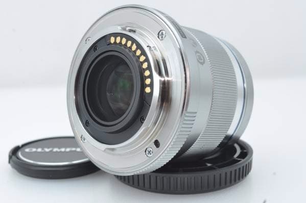 ポートレート OLYMPUS M.ZUIKO 45mm F1.8 銀