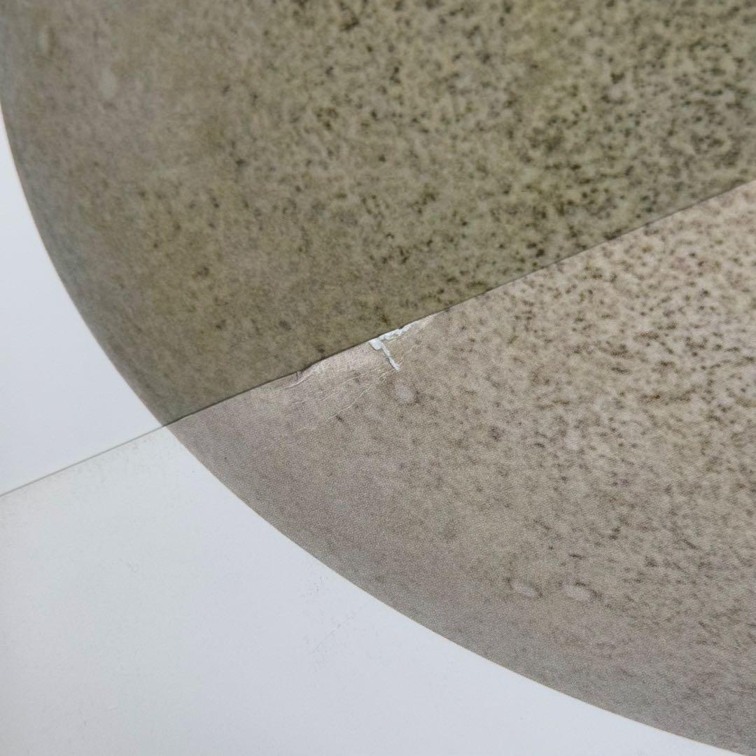 世界655種 鳥と卵と巣の大図鑑 吉村卓三 鈴木まもる