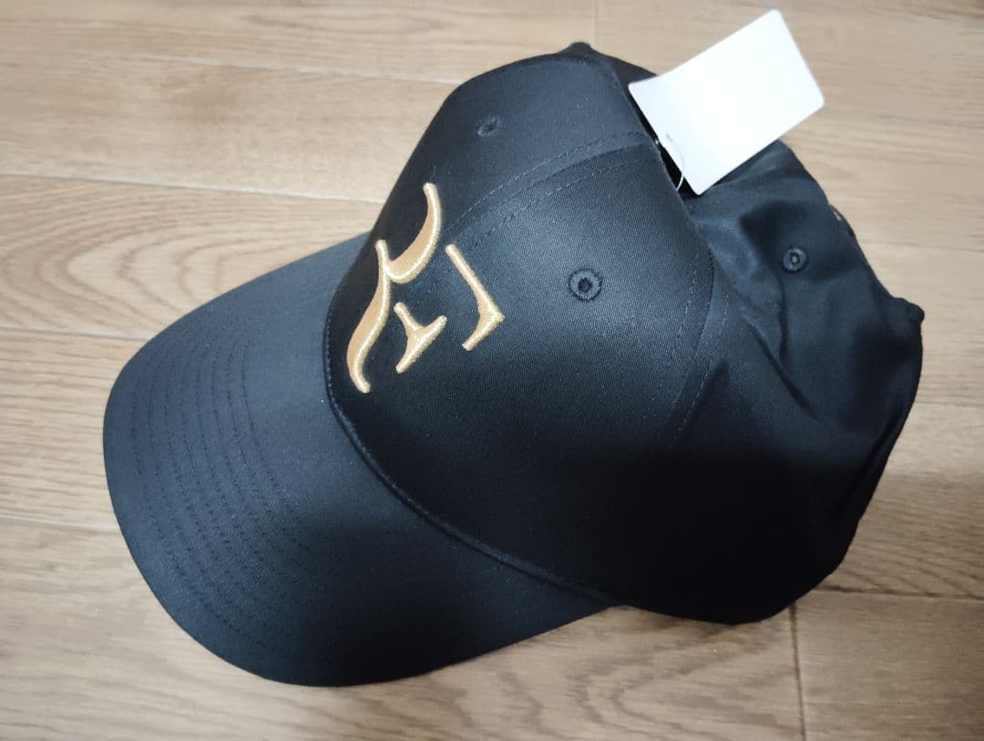 UNIQLO ユニクロ テニス RF キャップ フェデラー 錦織圭 ロジャー