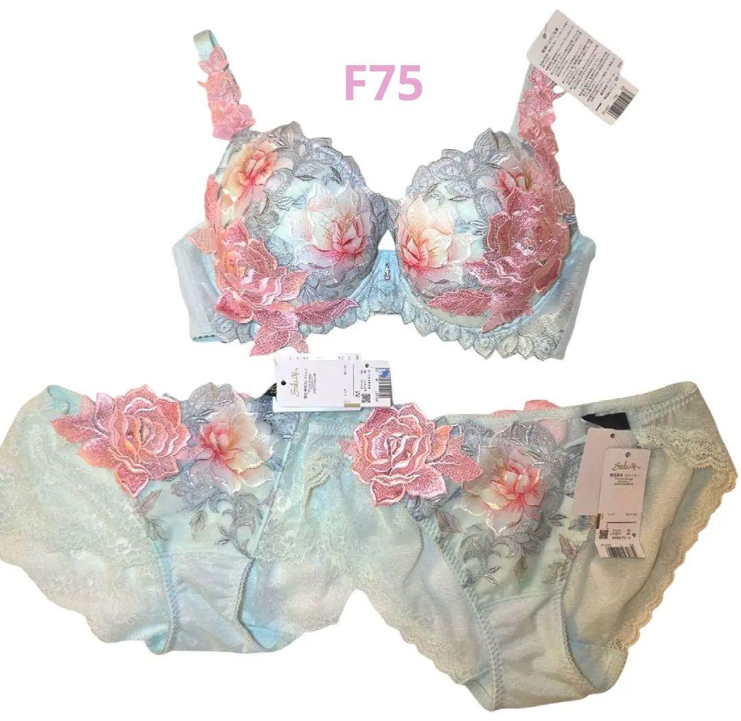 サルート　F75　ショーツ2枚