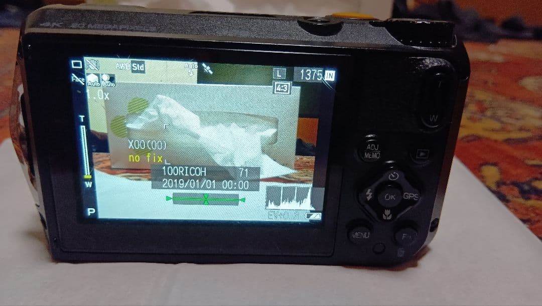 RICOH G900SE デジタルカメラ