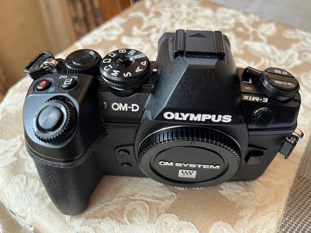 そ*ら様 オリンパス　E-M1 MarkⅡ シャッター数6338 皮ジャケット