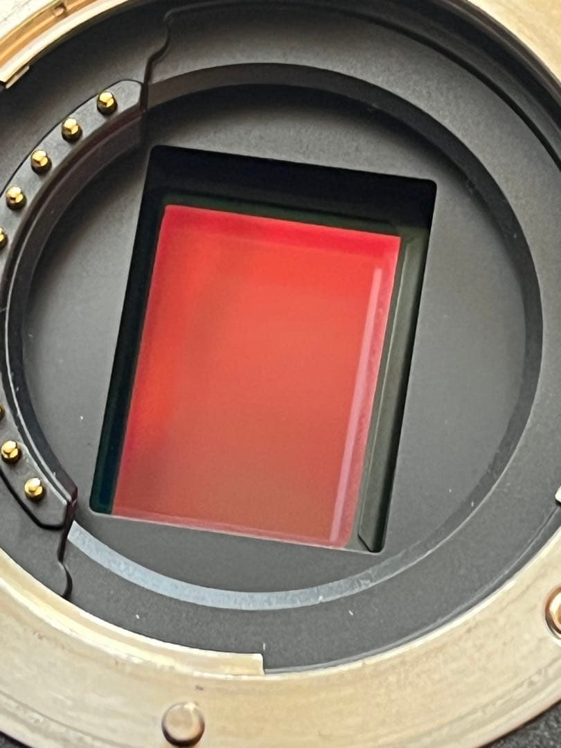 そ*ら様 オリンパス　E-M1 MarkⅡ シャッター数6338 皮ジャケット