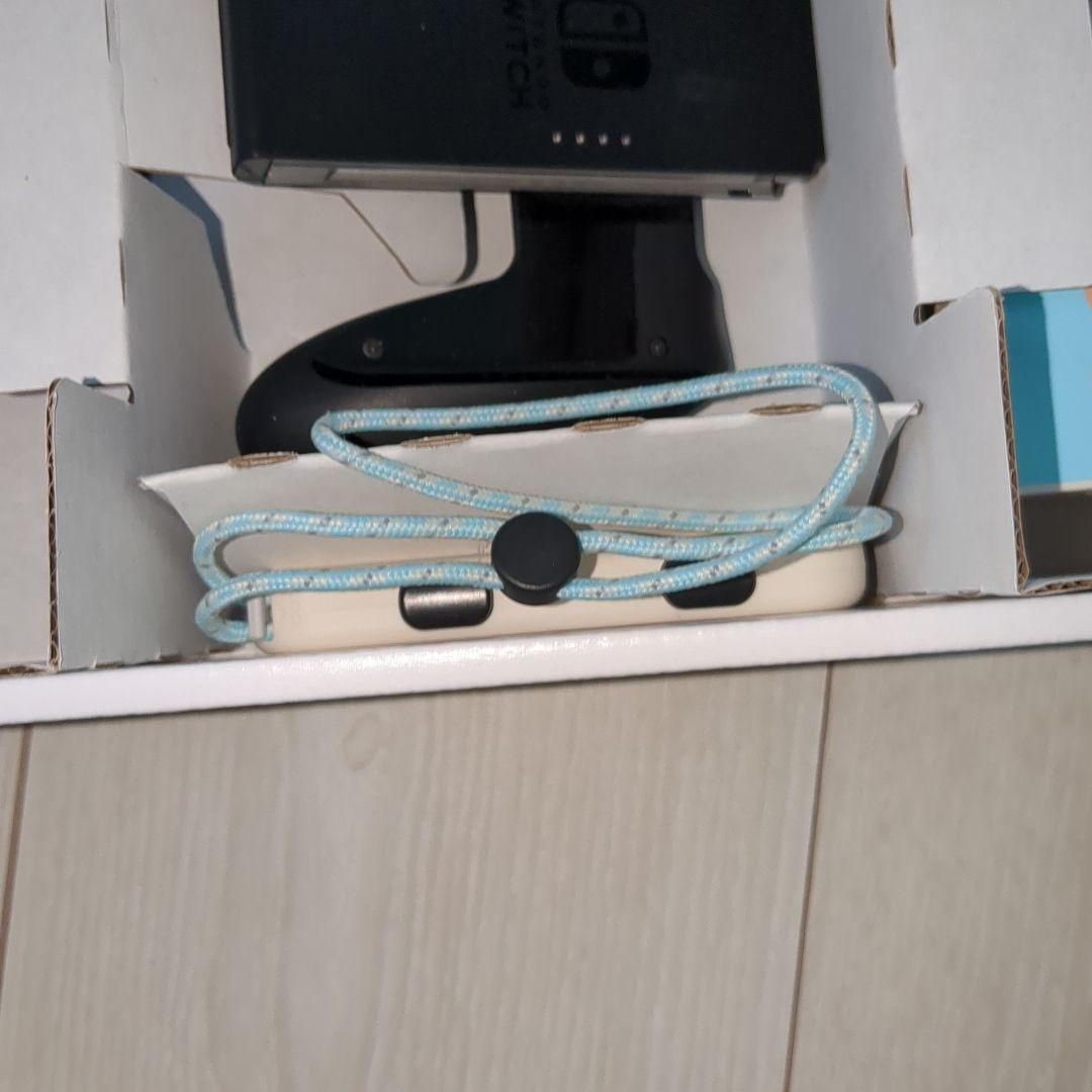 [美品]Nintendo Switch あつまれどうぶつの森 エディション