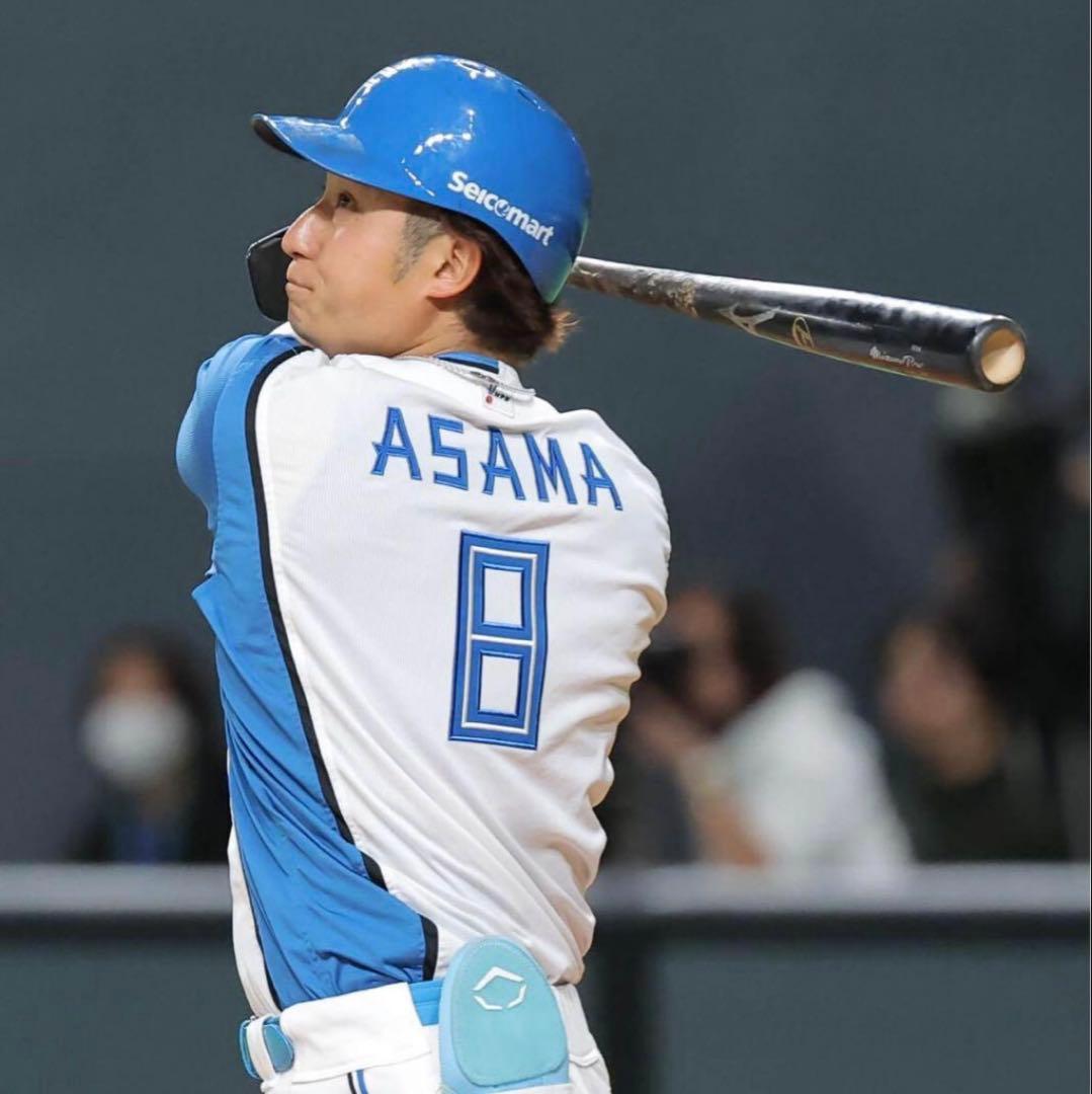 日本ハムファイターズ 淺間大基 #8　バット NPBマーク 支給品　実使用