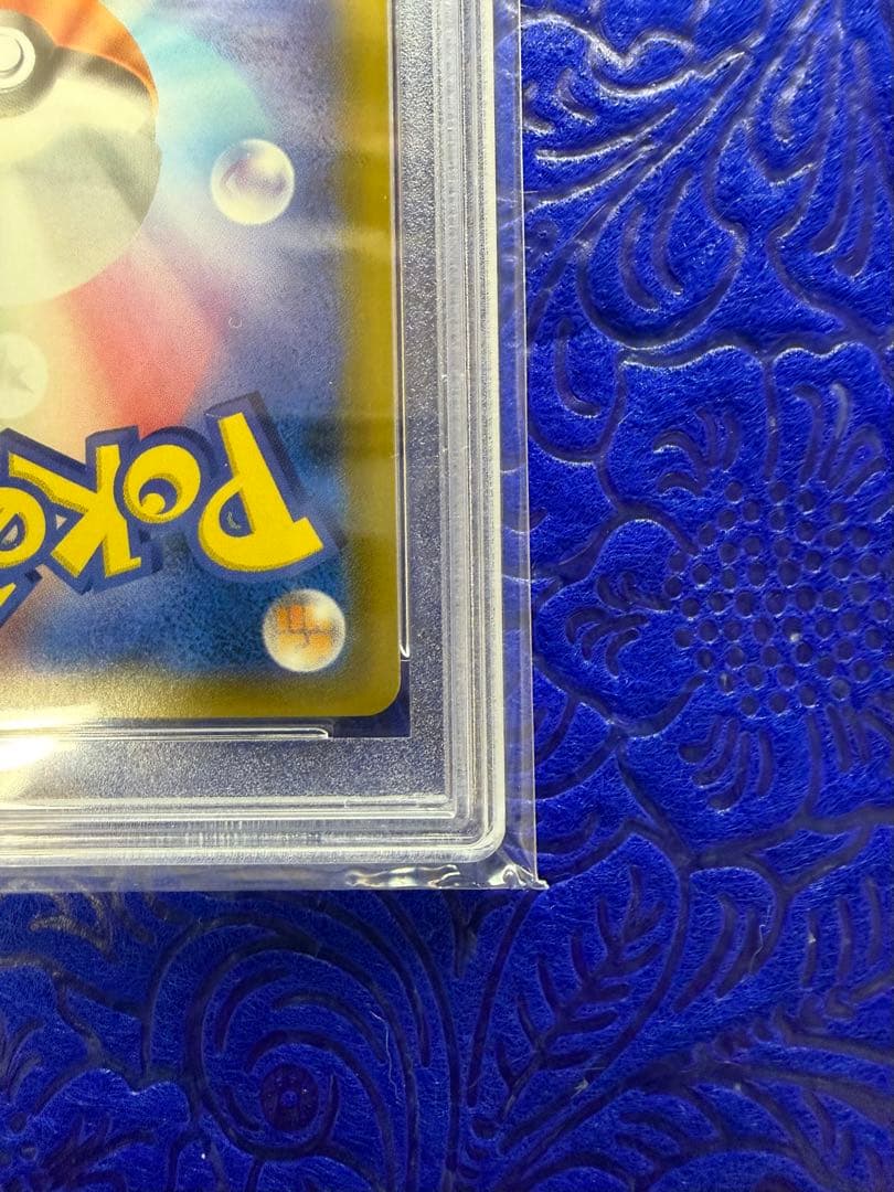 【PSA10】ピカチュウ&ゼクロムGX SR SA タッグボルト101/095