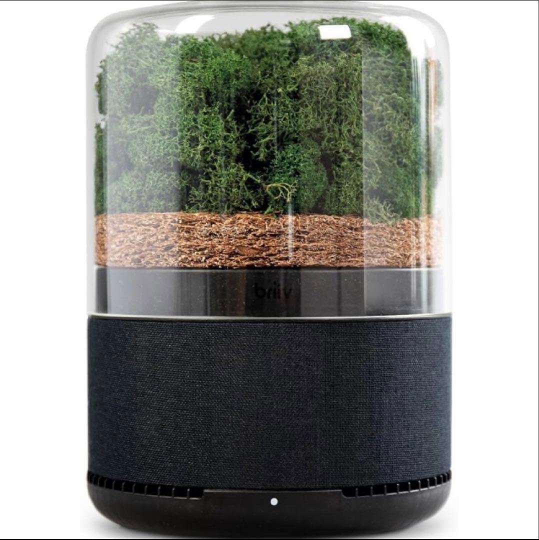 briiv 空気清浄機 英国発 自然派エコ BV0001
