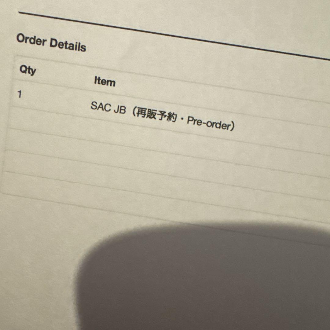 DO NOTHING CONGRESS SAC JB バーキン 藤原ヒロシ 新品