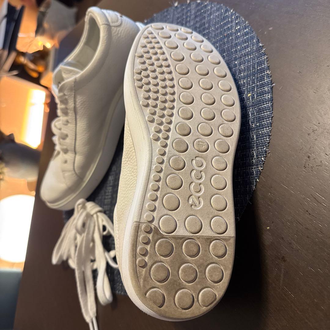 ECCO エコー　SOFT 60 ソフト60　ブランド生誕60周年記念モデル