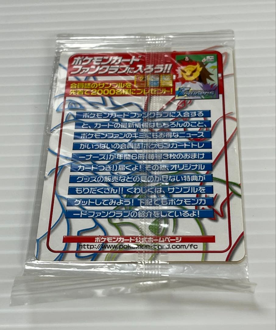 未開封⭐︎ピチュー兄弟 PROMO P - eプロモカード 028/P