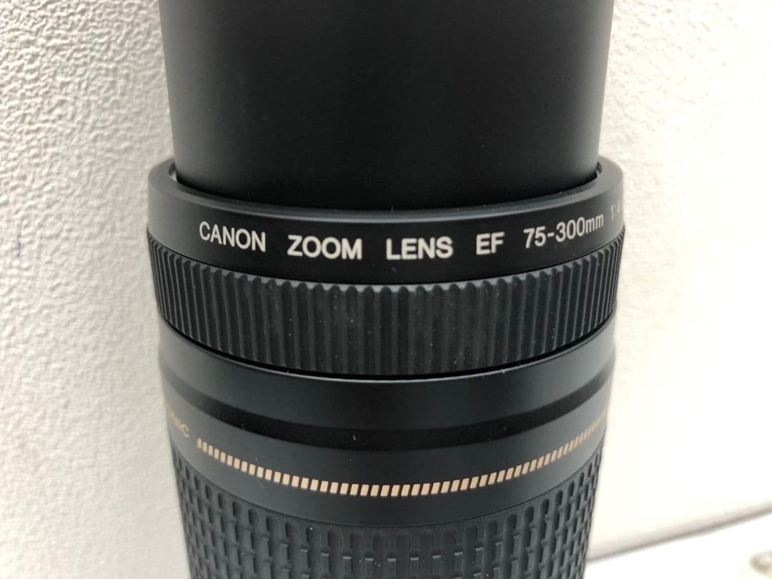 キャノン　EF 75-300mm 1:4-5.6 Ⅱ カメラ レンズ ズーム