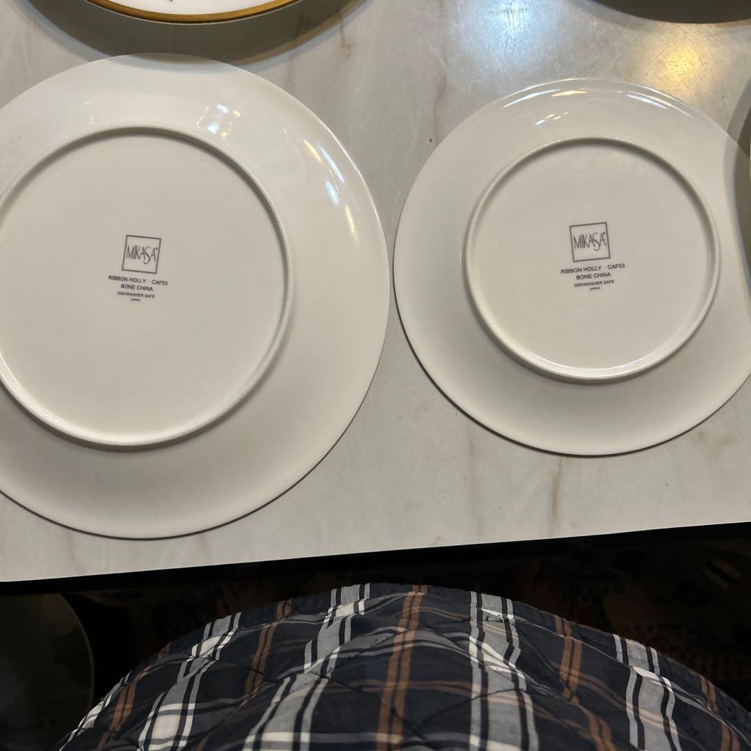 クリスマスプレートセット ヒイラギデザイン　大27.５cm中21cm 10枚