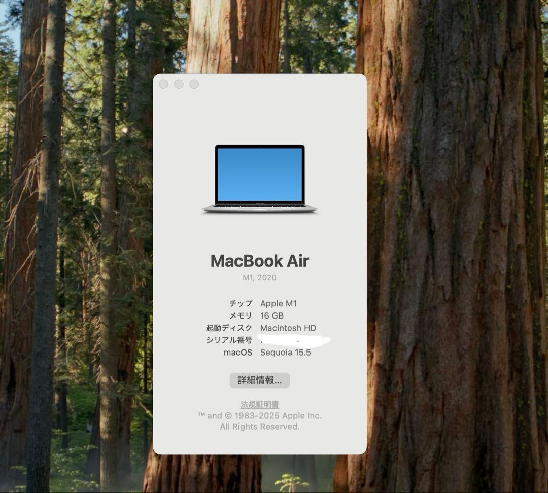 Apple M1 MacBook Air 16GB 512GB シルバー