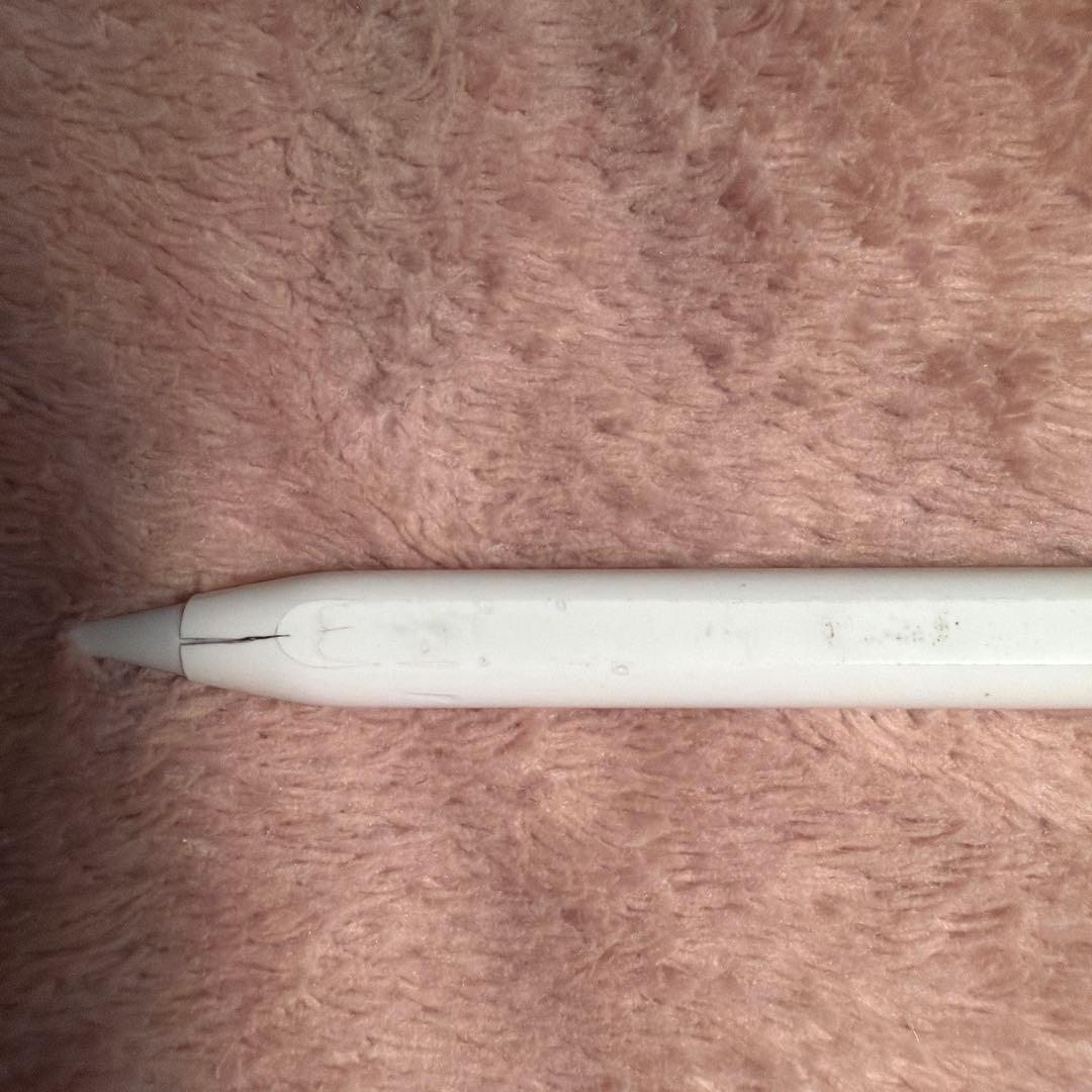 大*也様 Apple Pencil Pro