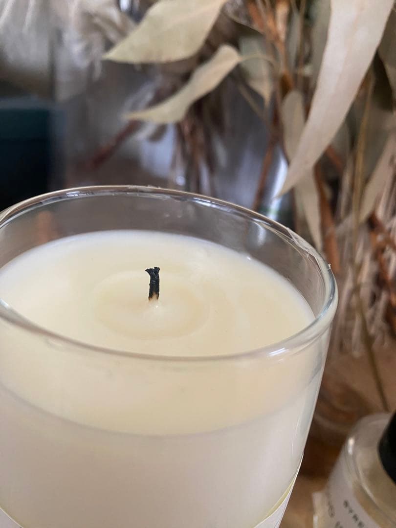 【K9】LE LABO ル ラボ キャロン17 クラシック 245g