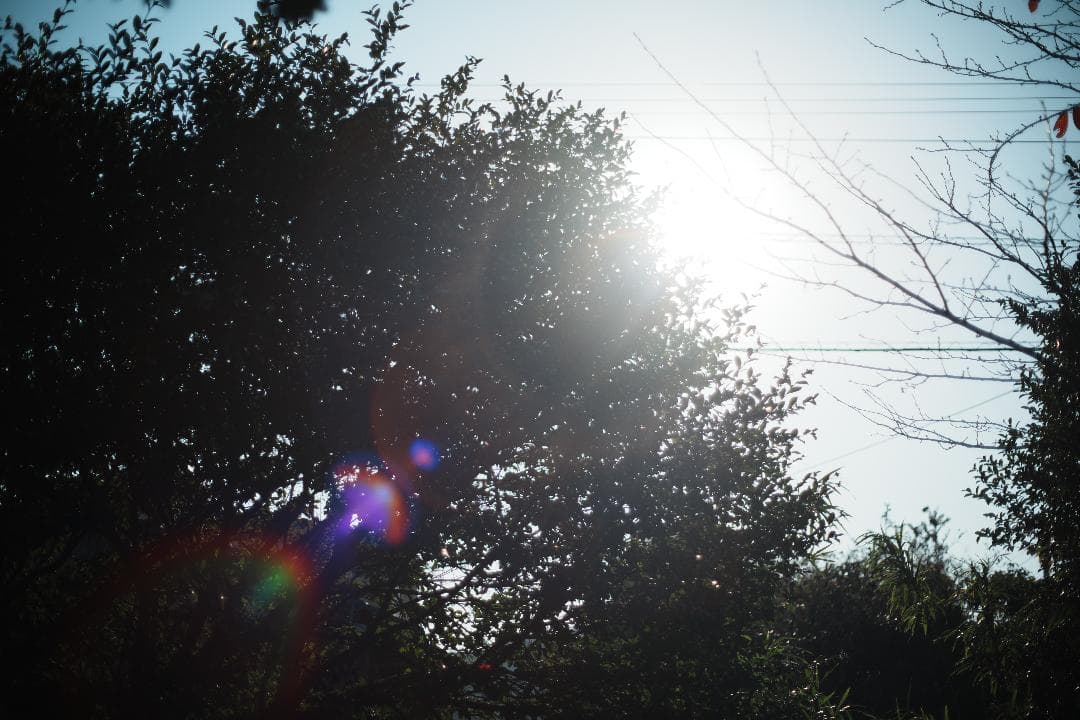 【バブルボケ】動作◎ ミノルタ New MD 50mm F1.4 953