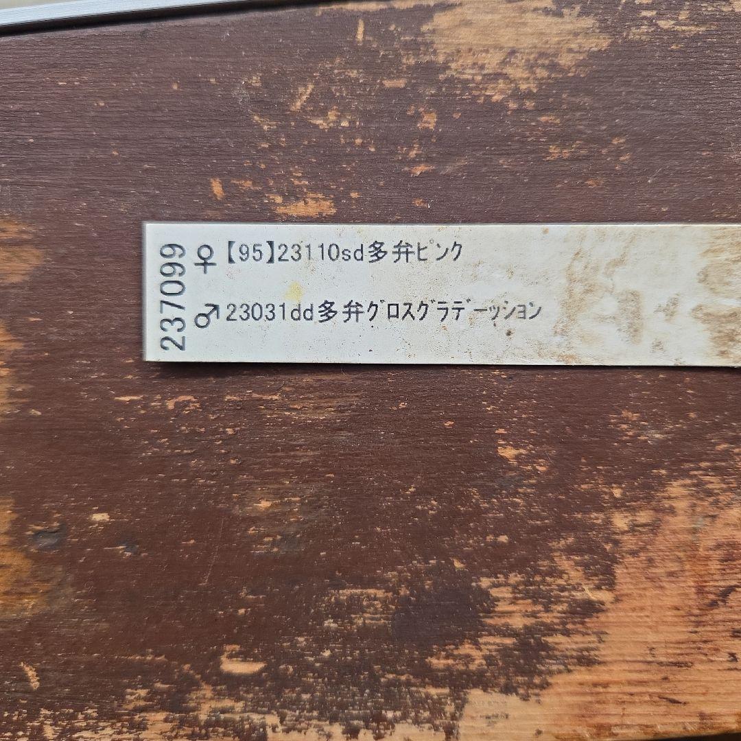 まい様お取り置き専用　 加藤農園 認定【アンティークモーリー】sd