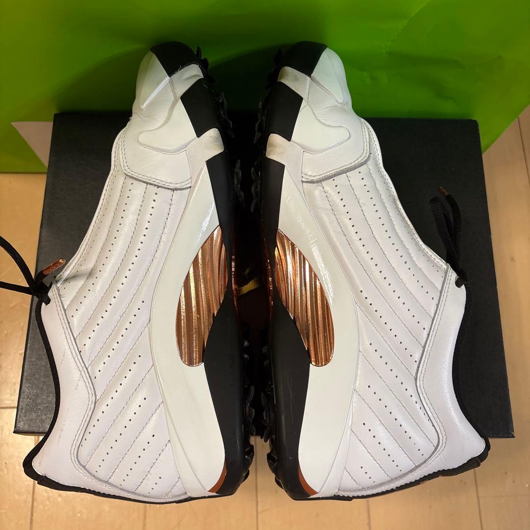 エアジョーダン 14G NRG usopen 29 ゴルフシューズ