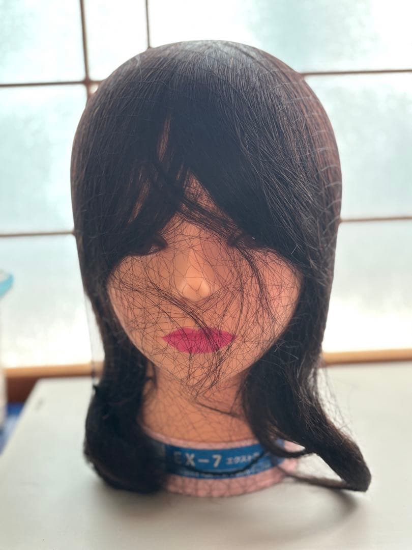 カットウィッグ レジーナEX-7 エクストラカット 3体+TCHA 001