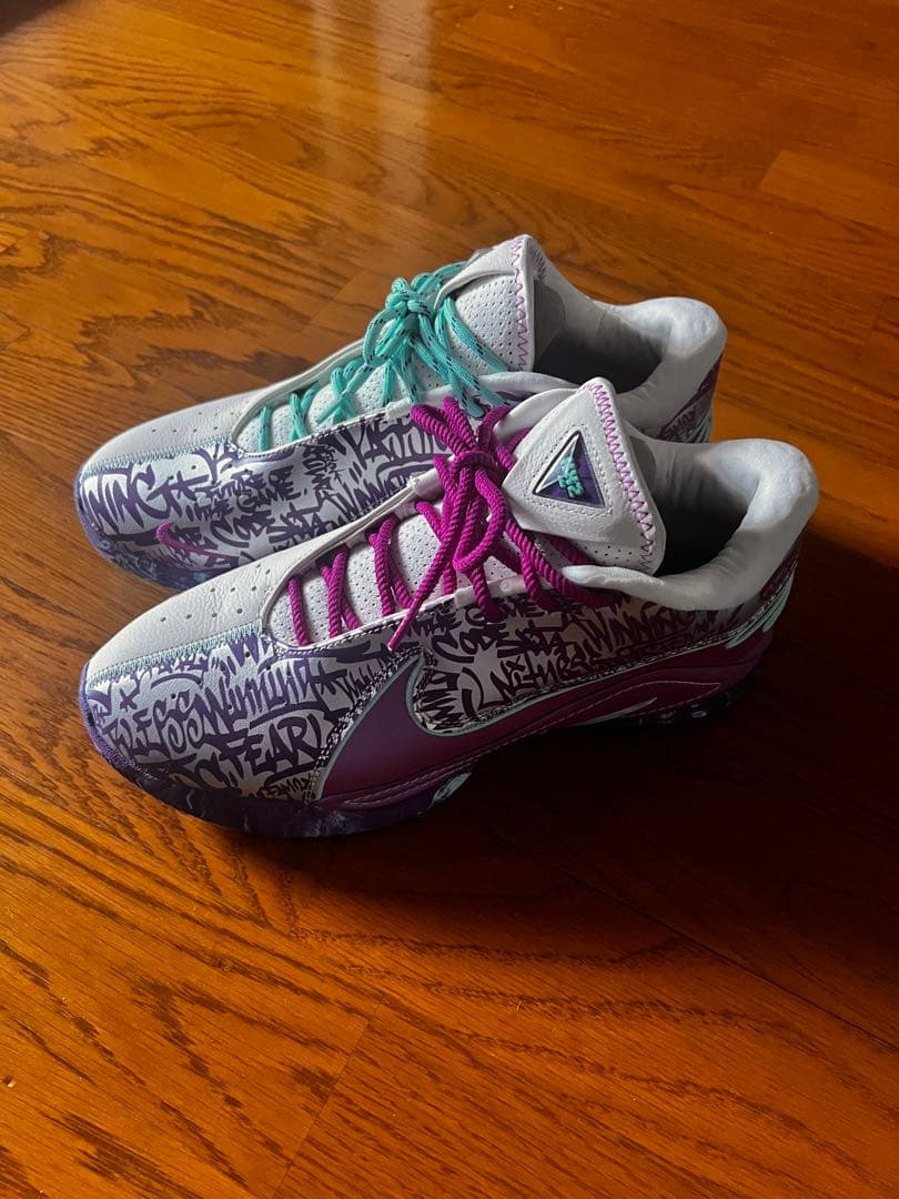 NIKE レブロン22 EP バスケットボールシューズ キング　祝い