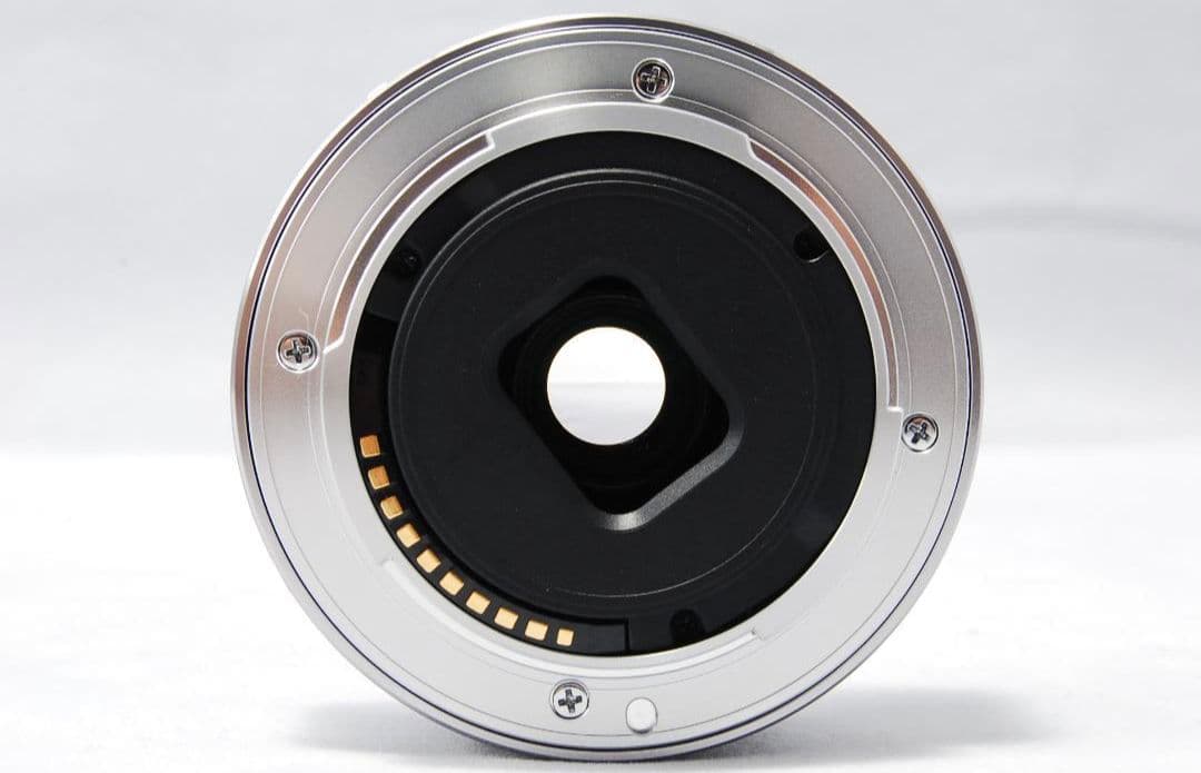 1月27日限定お値下げ✨SONY 単焦点 E 16mm F2.8 SEL16