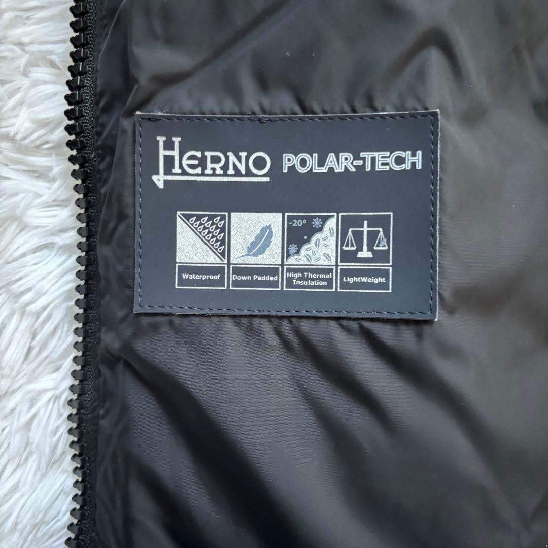 【美品】ヘルノ HERNO ダウンコート ダウンジャケット ナイロンシャモニー