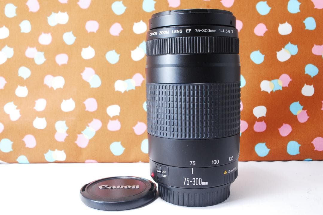 ✨人気の望遠レンズ✨Canon EF 75-300mm F4-5.6 Ⅱ