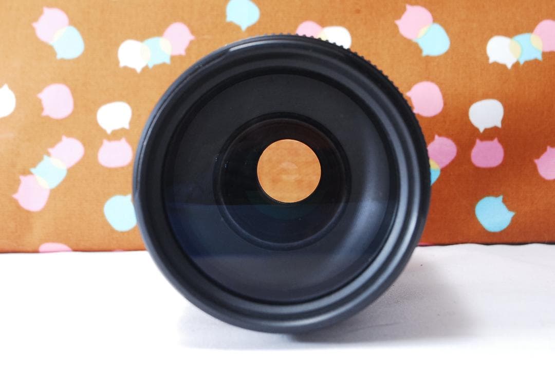 ✨人気の望遠レンズ✨Canon EF 75-300mm F4-5.6 Ⅱ