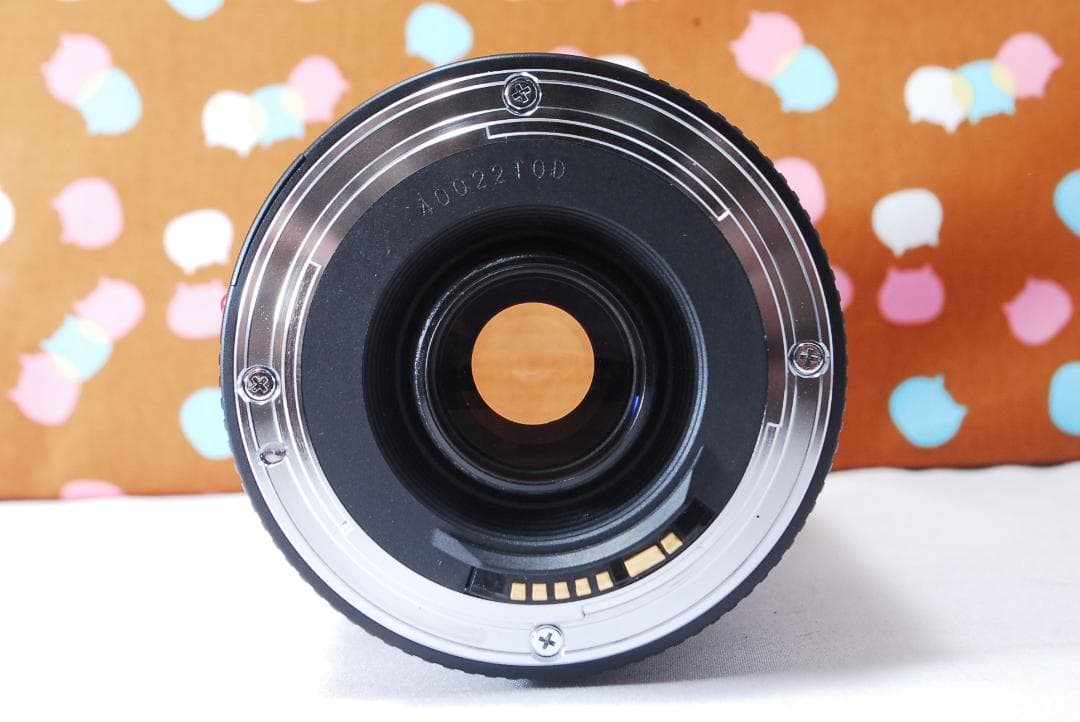 ✨人気の望遠レンズ✨Canon EF 75-300mm F4-5.6 Ⅱ