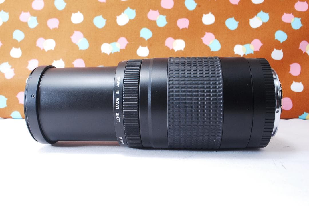 ✨人気の望遠レンズ✨Canon EF 75-300mm F4-5.6 Ⅱ
