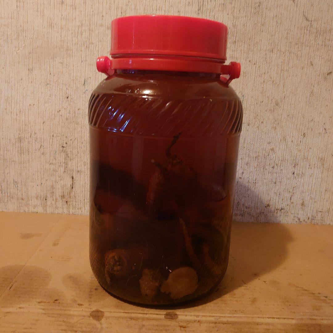 奈良県吉野山系吉野で採取りした天然物ツルニンジン酒5Ｌ入り