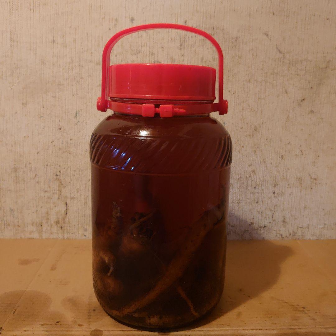 奈良県吉野山系吉野で採取りした天然物ツルニンジン酒5Ｌ入り
