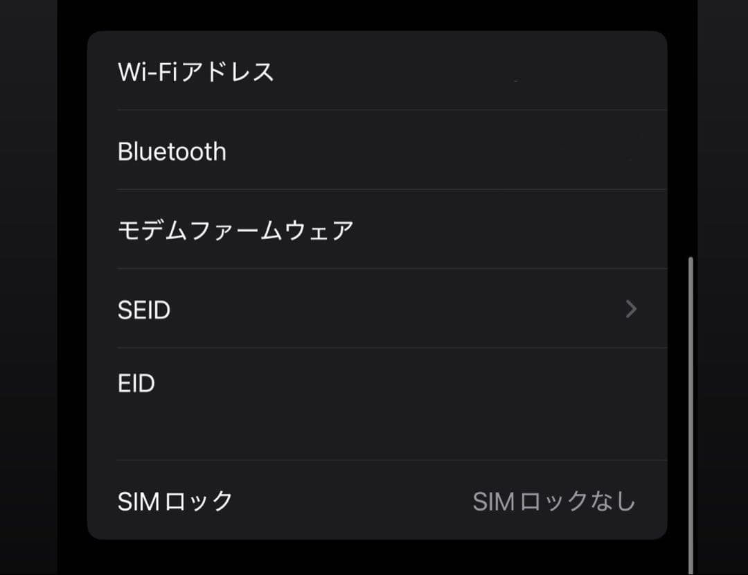 iPhone 13 Pro Max 256GB グラファイト SIMフリー