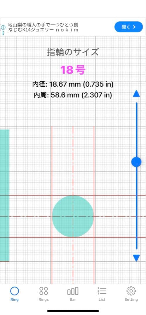 Tiffany & Co. シルバーリング 9号と１８号