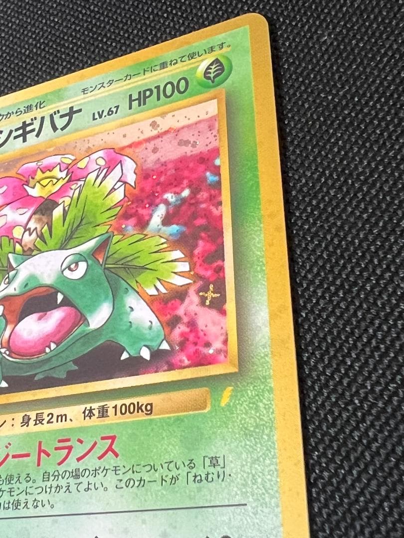 旧裏ポケモンカード【フシギバナ】_とりかえっこプリーズ　★十字ホロ