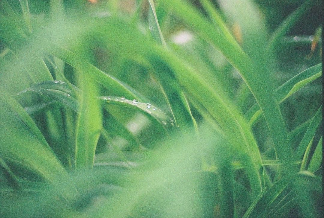 【作例あり】Nikon F3 一眼レフカメラ NIKKOR 50mm f/1.4