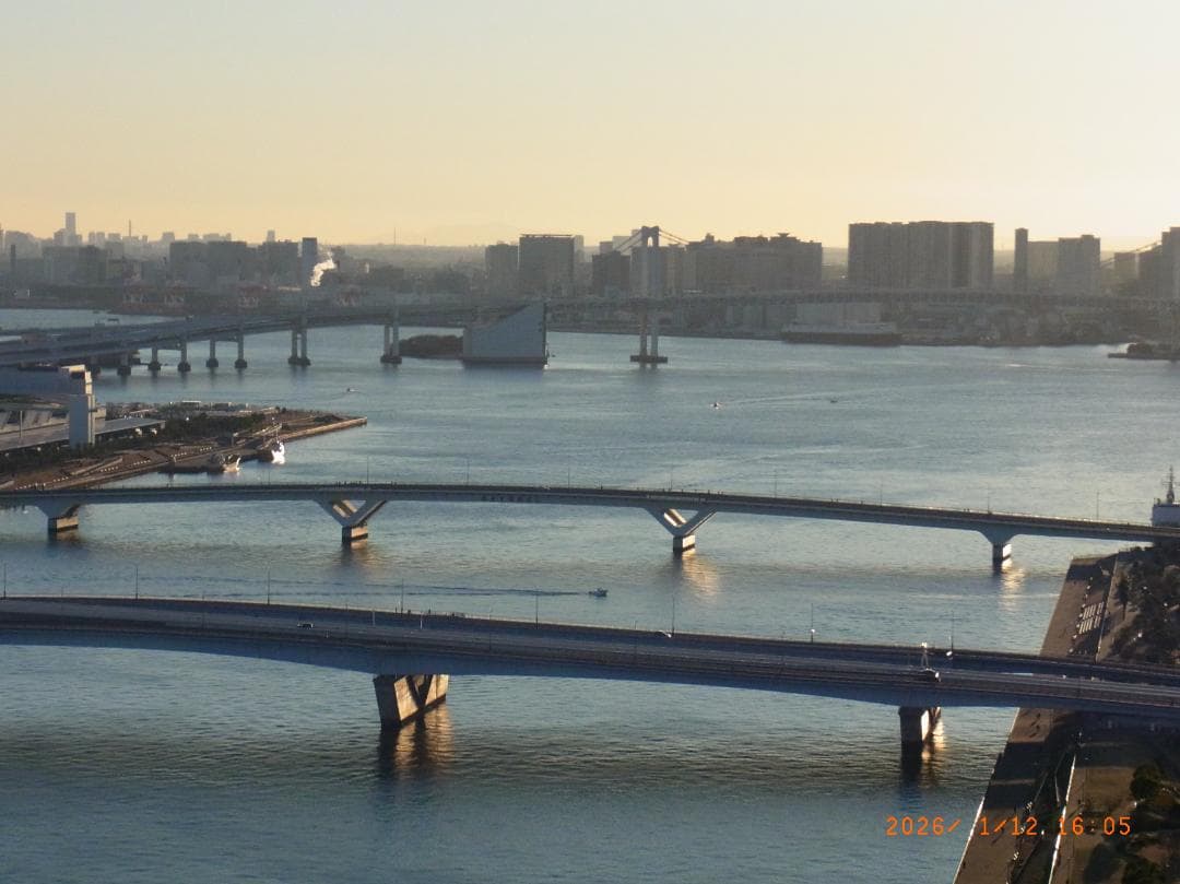 RICOH CX5 ローズピンク コンパクトデジタルカメラ 動作確認済み