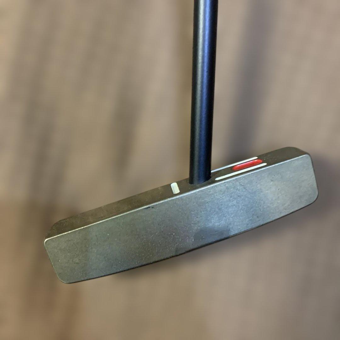 SeeMore FGP パター