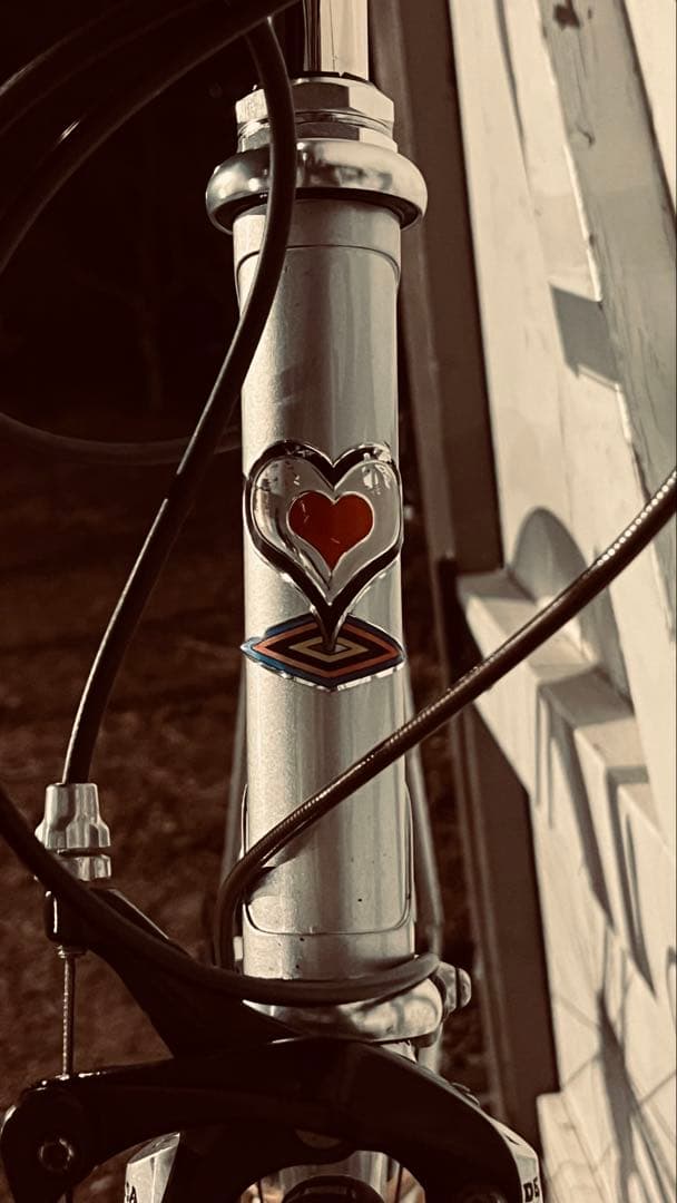 専 DEROSA dynamic acciaioクロモリ 55サイズ