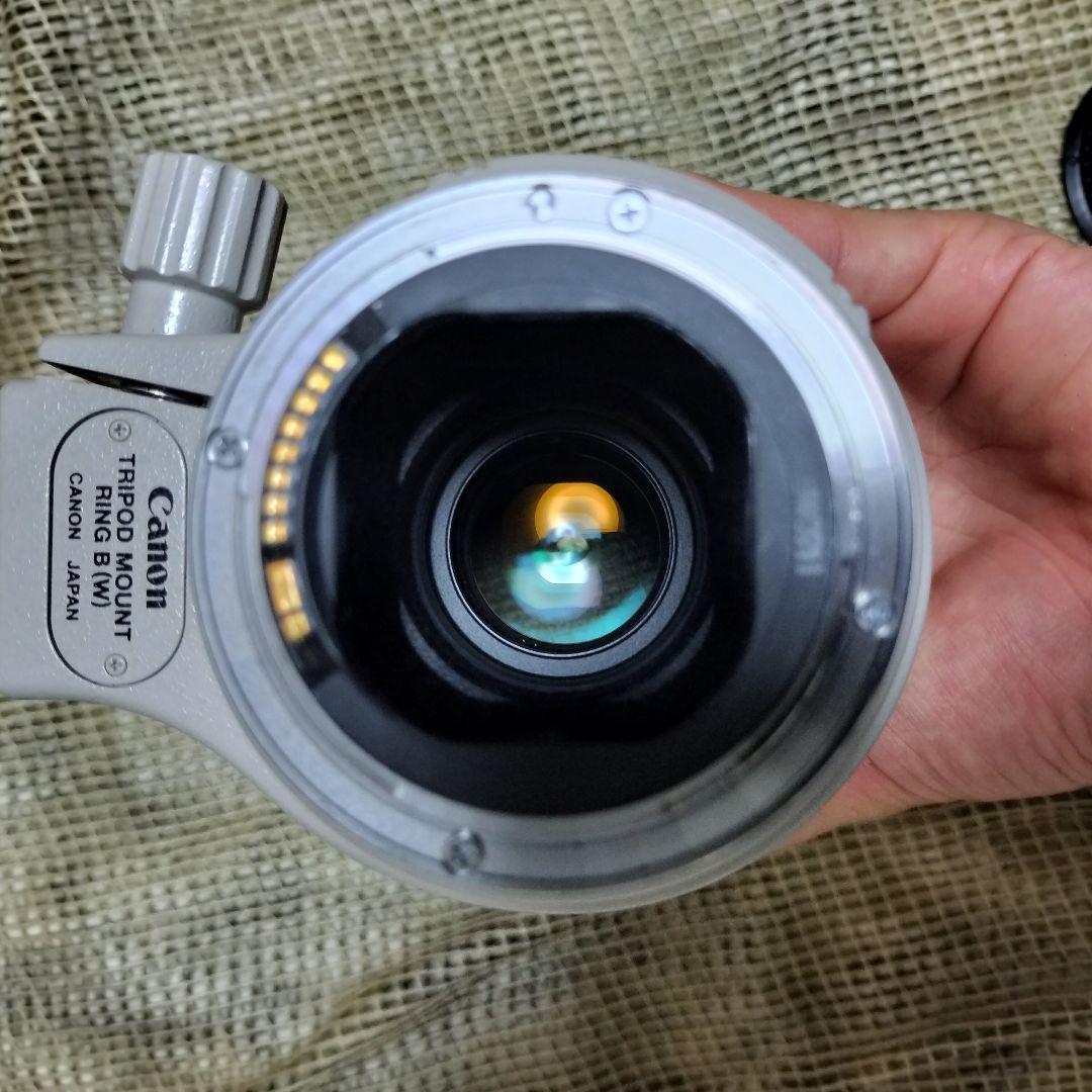 完全最終値下 美品 EF300mm F4L IS USM 迷彩スパッタ2種