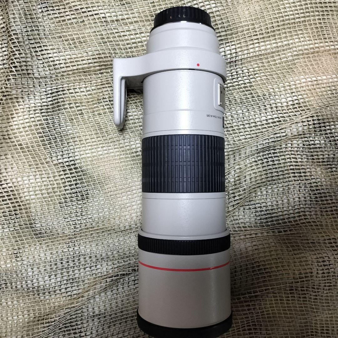完全最終値下 美品 EF300mm F4L IS USM 迷彩スパッタ2種