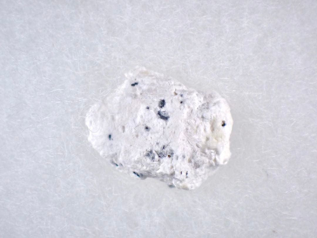 沼野石(TL) 布賀鉱山